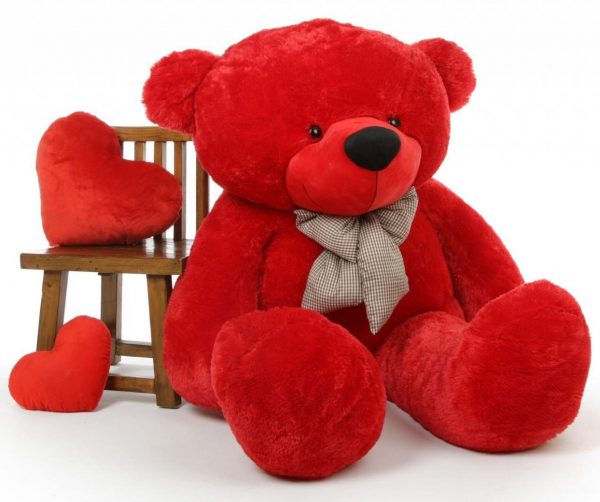 teddy day gift for gf