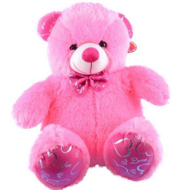 all colour teddy bear