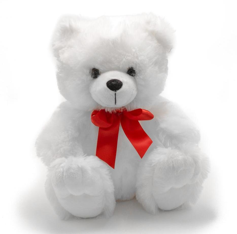 teddy bear in white colour