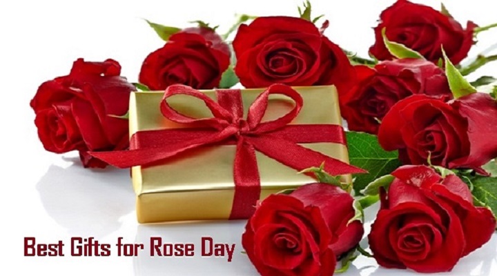 10 Tips to Choose Roses for Mumbai Delivery Giftalove Blog - Ideas,  Inspiration, Latest trends to quick DIY and easy how–tos